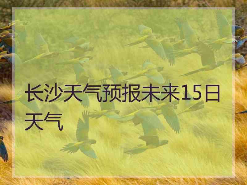 长沙天气预报未来15日天气