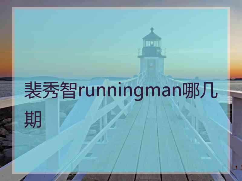 裴秀智runningman哪几期