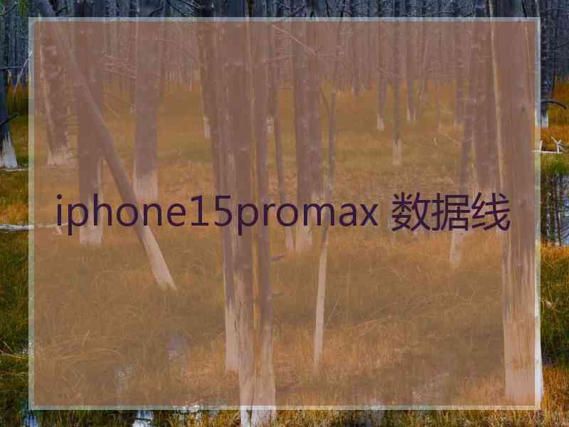 iphone15promax 数据线