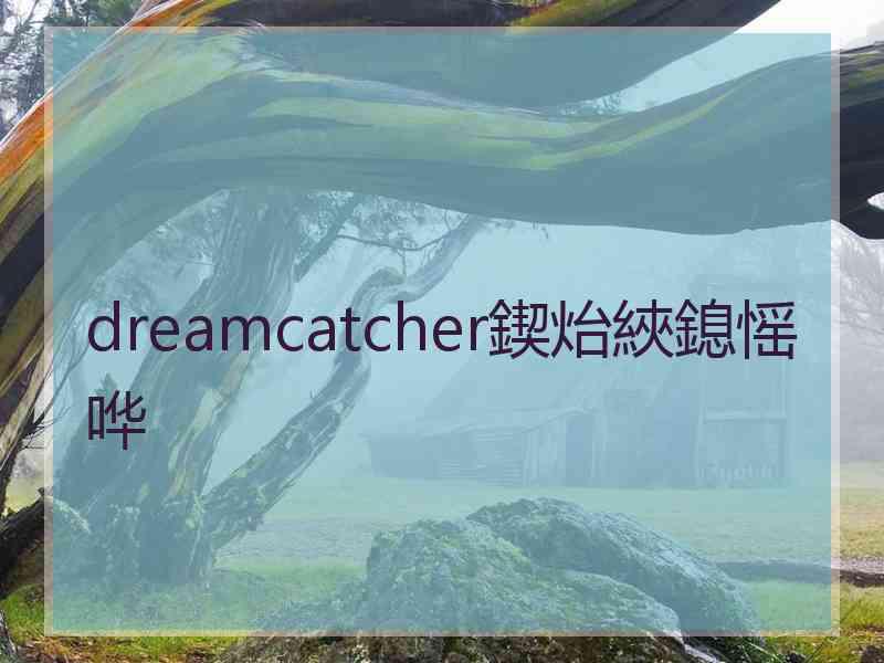 dreamcatcher鍥炲綊鎴愮哗