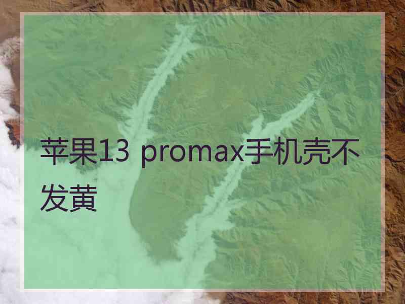 苹果13 promax手机壳不发黄