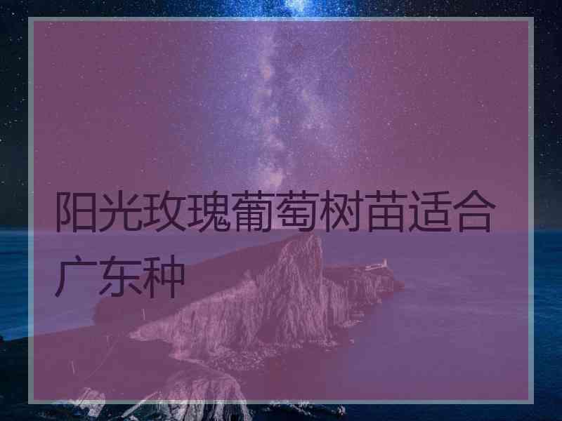 阳光玫瑰葡萄树苗适合广东种