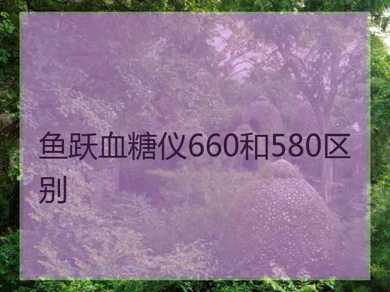 鱼跃血糖仪660和580区别