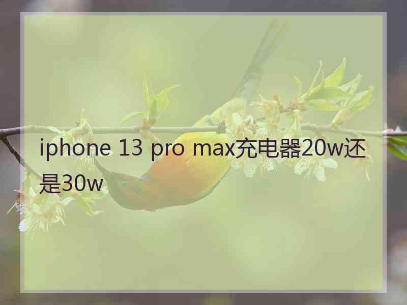 iphone 13 pro max充电器20w还是30w