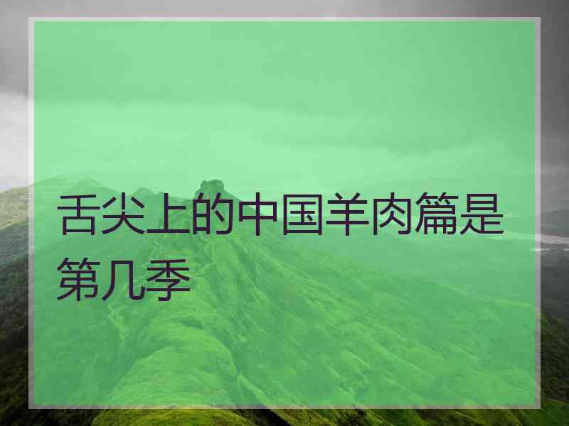 舌尖上的中国羊肉篇是第几季