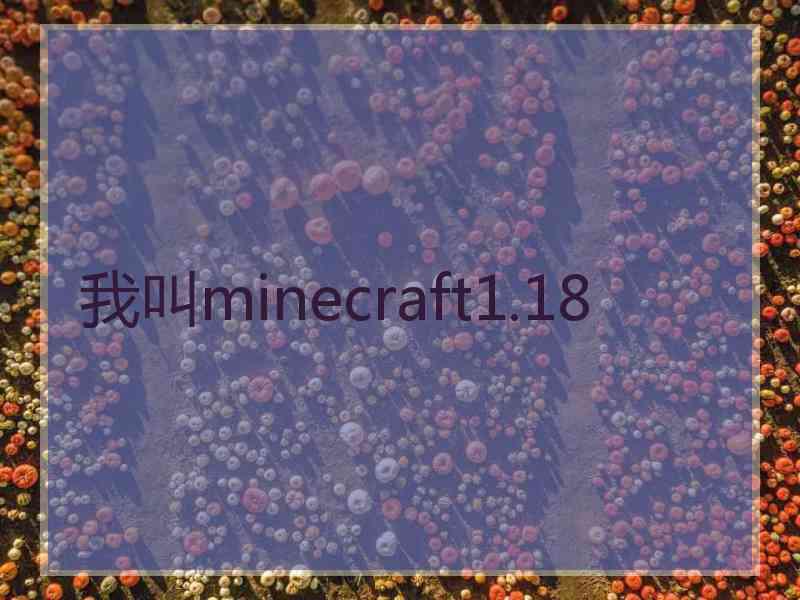 我叫minecraft1.18