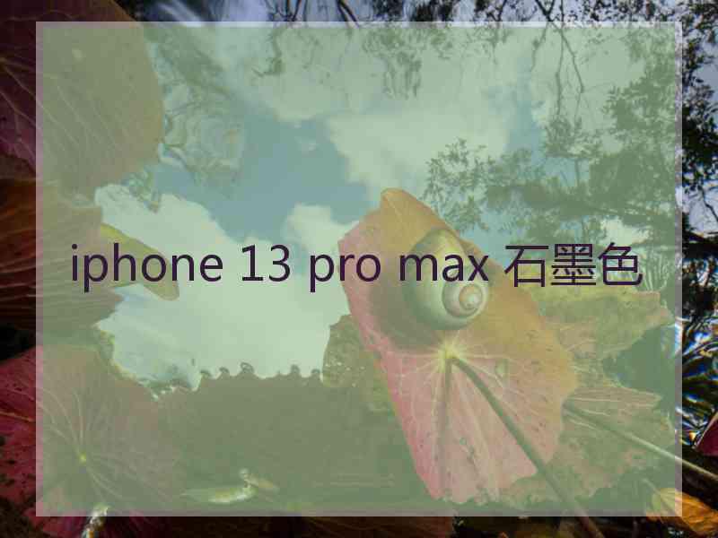 iphone 13 pro max 石墨色