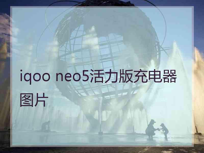 iqoo neo5活力版充电器图片