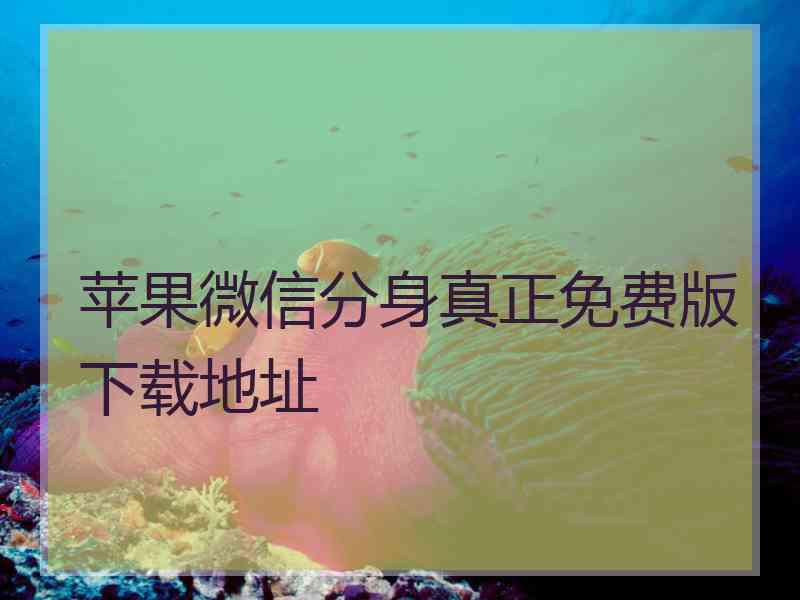 苹果微信分身真正免费版下载地址