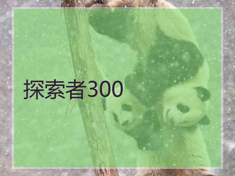 探索者300