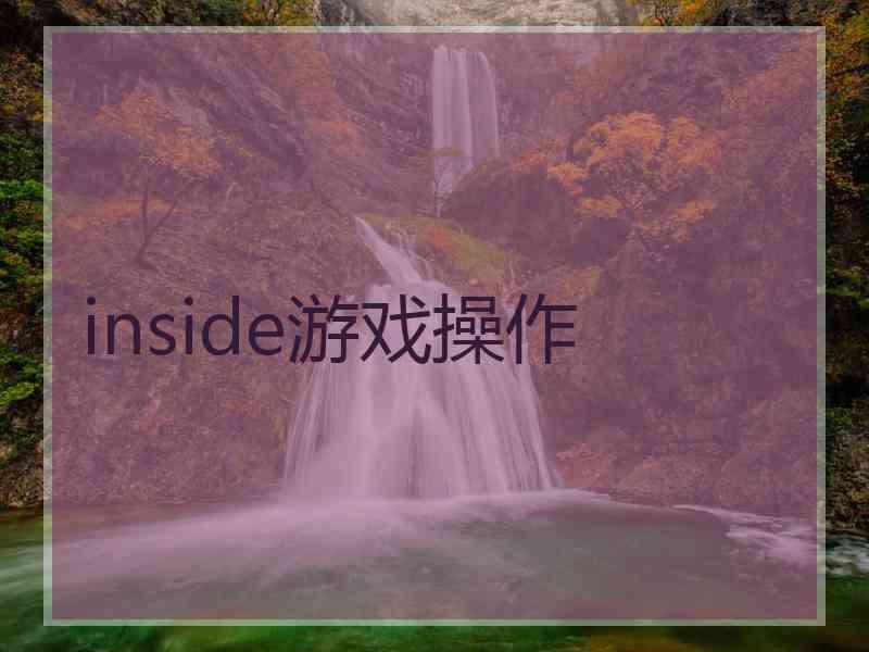 inside游戏操作