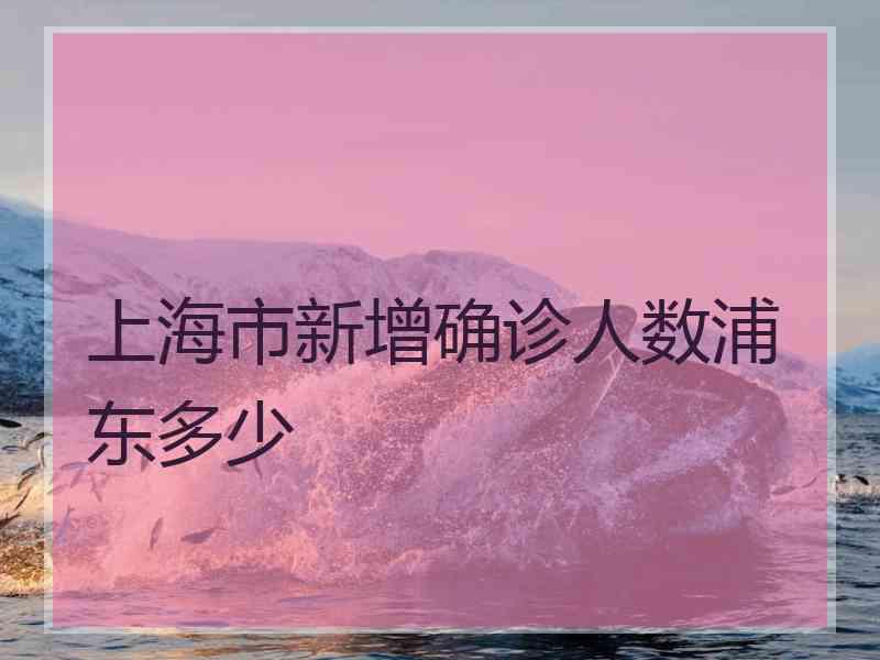 上海市新增确诊人数浦东多少