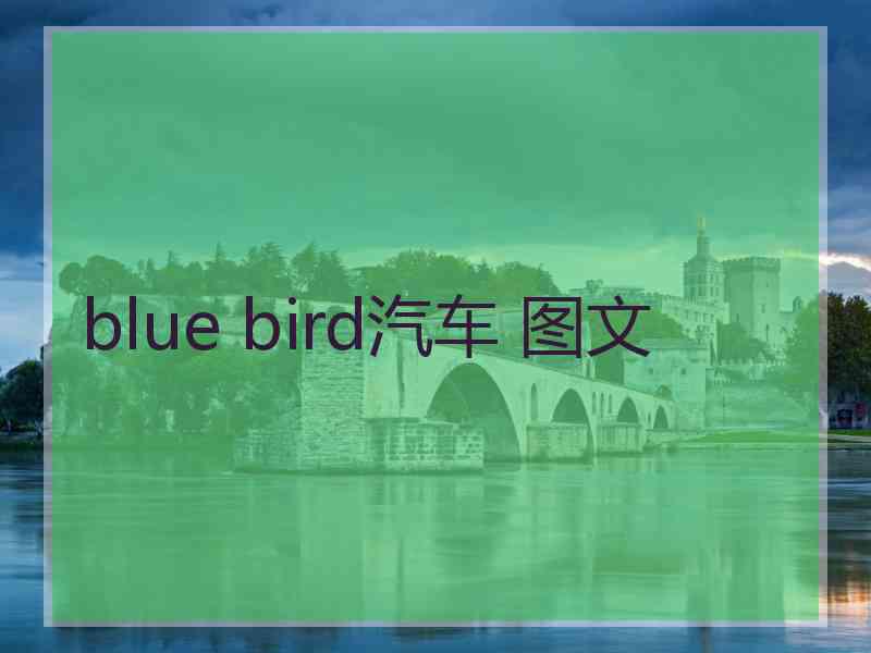 blue bird汽车 图文