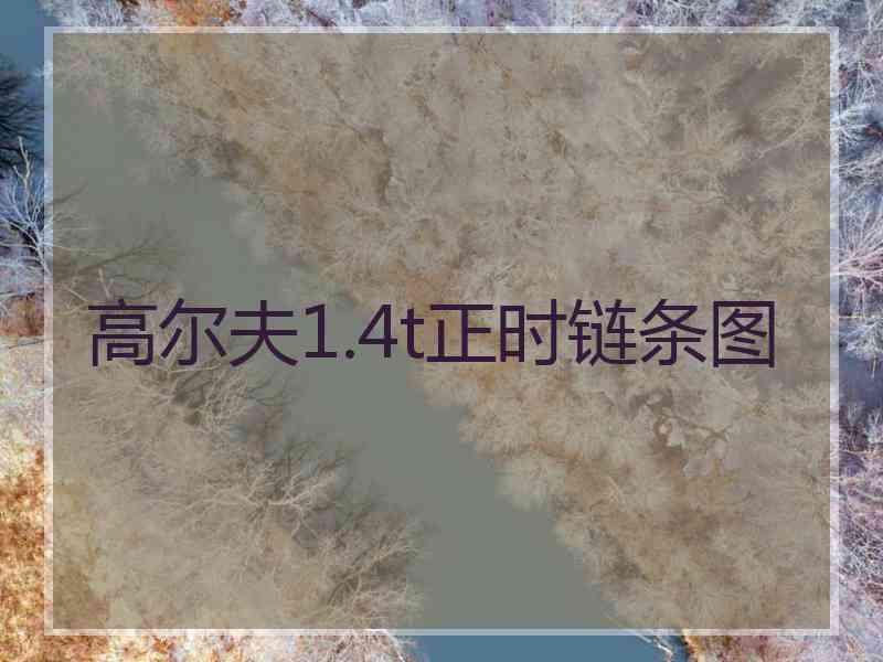 高尔夫1.4t正时链条图