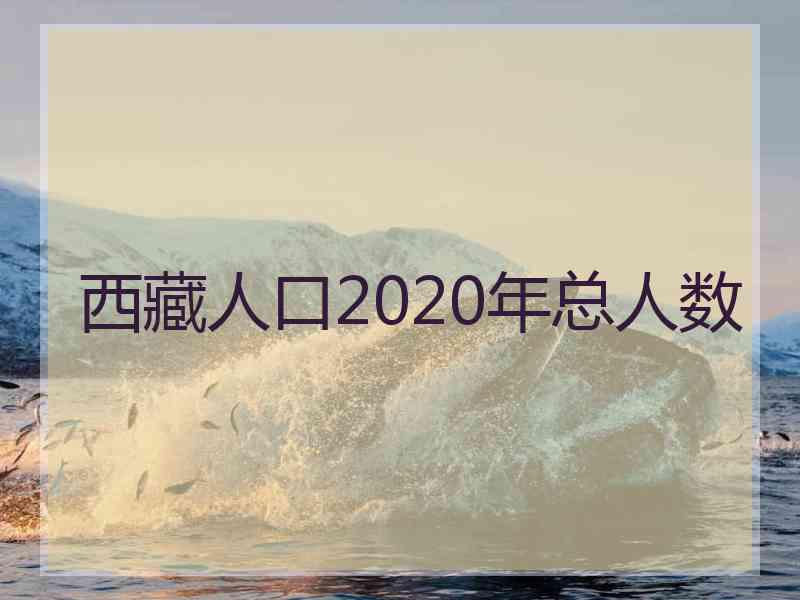 西藏人口2020年总人数