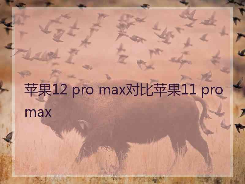 苹果12 pro max对比苹果11 pro max