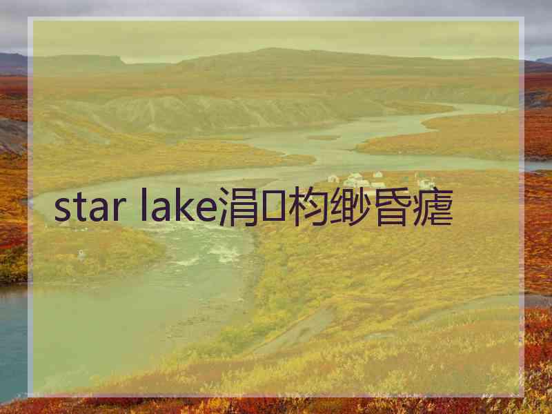 star lake涓枃缈昏瘧