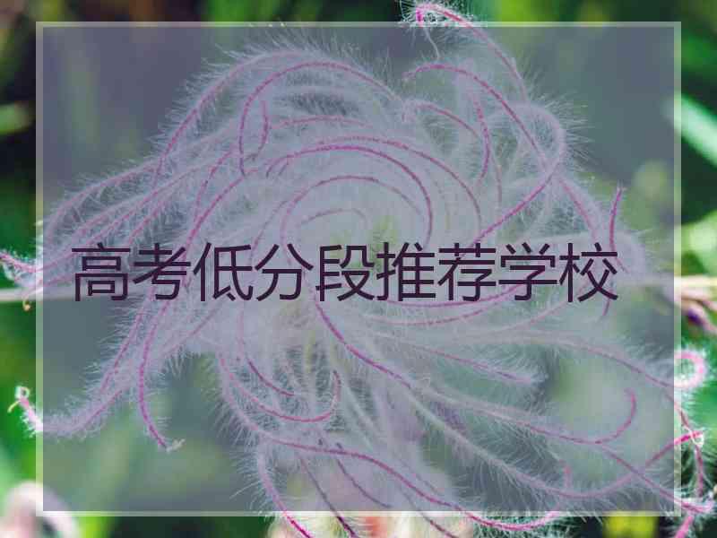 高考低分段推荐学校