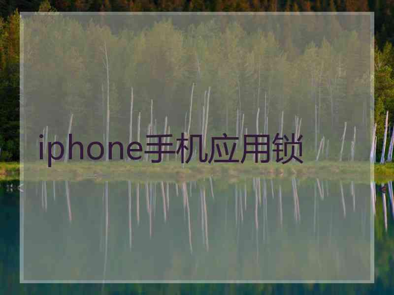 iphone手机应用锁