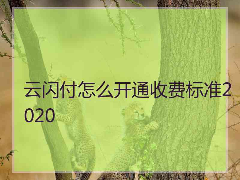 云闪付怎么开通收费标准2020