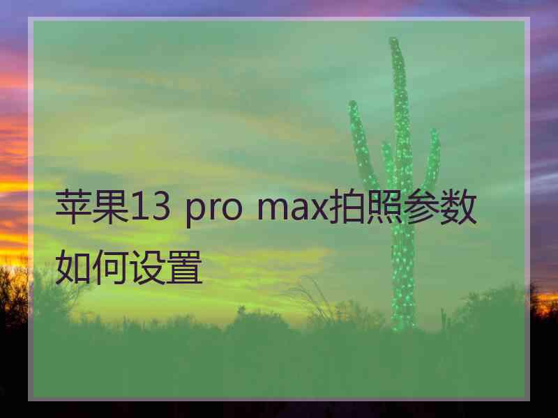 苹果13 pro max拍照参数如何设置