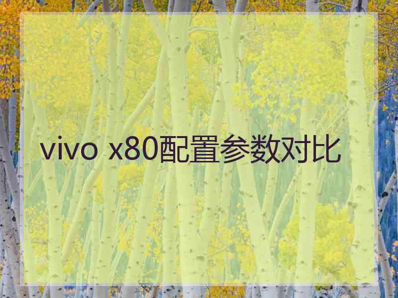 vivo x80配置参数对比