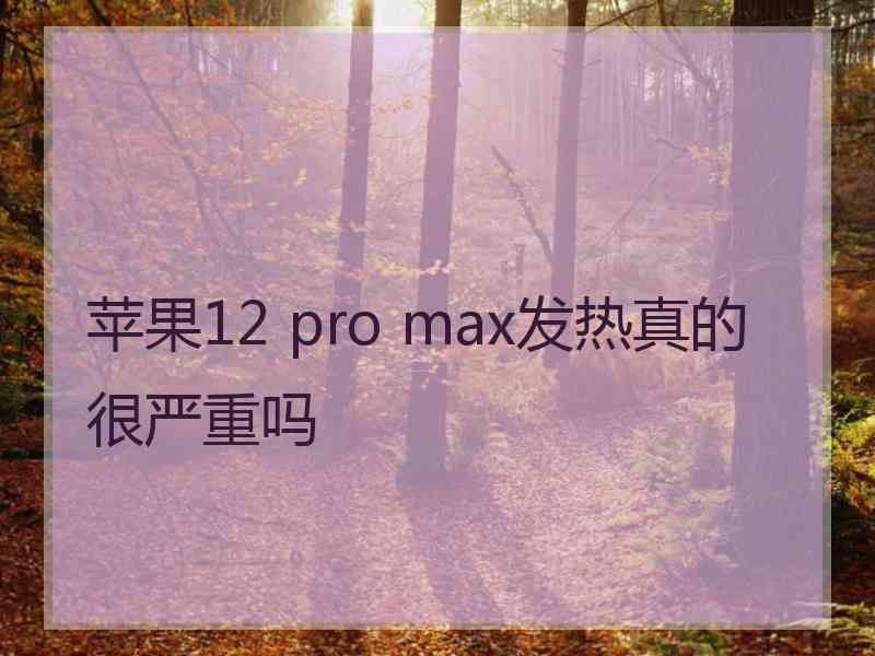 苹果12 pro max发热真的很严重吗