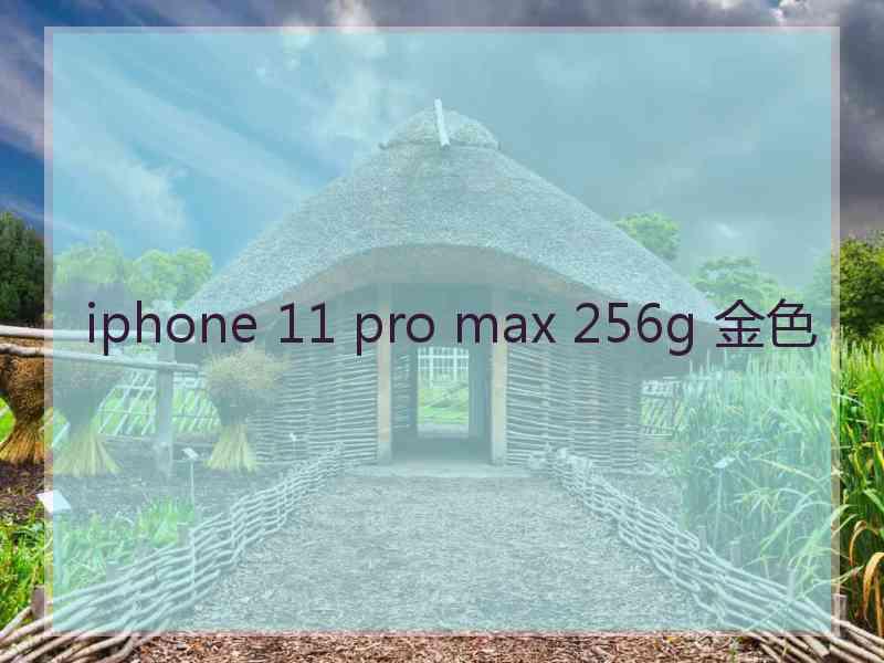 iphone 11 pro max 256g 金色