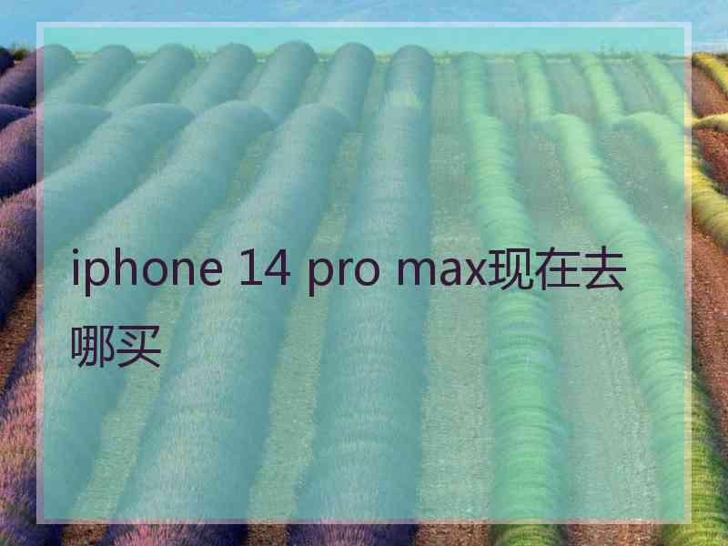 iphone 14 pro max现在去哪买