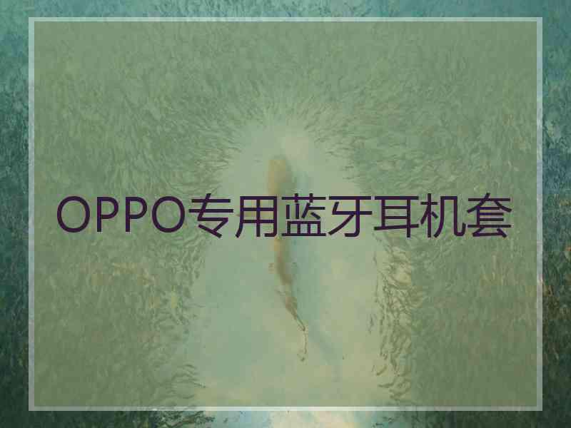 OPPO专用蓝牙耳机套