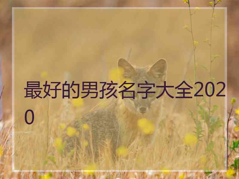 最好的男孩名字大全2020