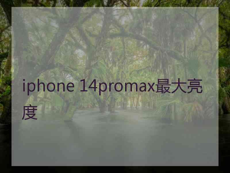 iphone 14promax最大亮度