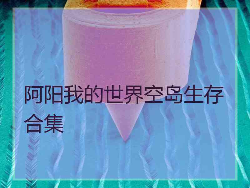 阿阳我的世界空岛生存合集