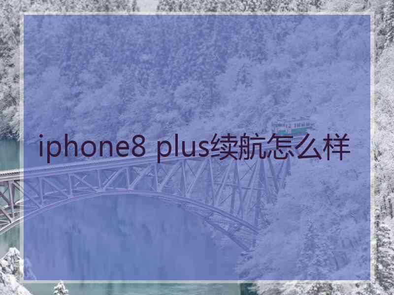 iphone8 plus续航怎么样