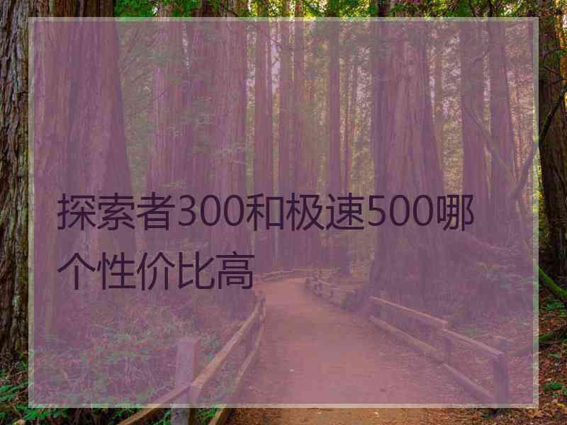 探索者300和极速500哪个性价比高