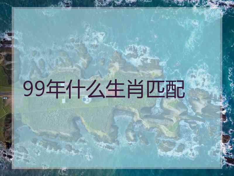 99年什么生肖匹配