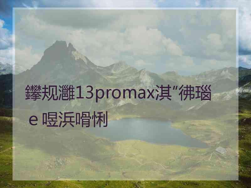 鑻规灉13promax淇″彿瑙ｅ喅浜嗗悧