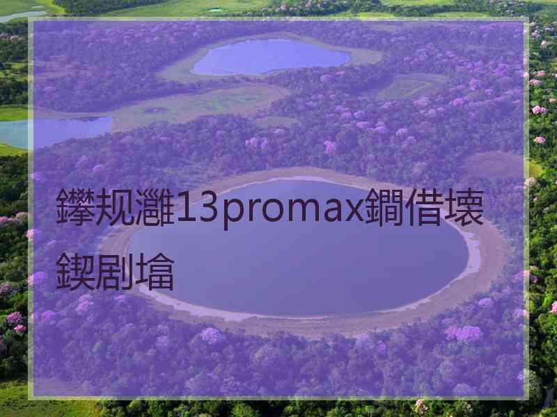 鑻规灉13promax鐧借壊鍥剧墖