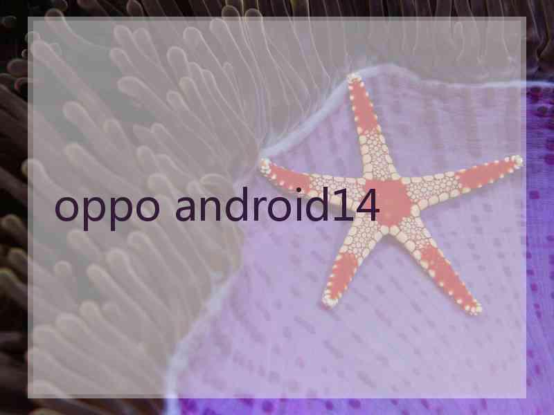 oppo android14