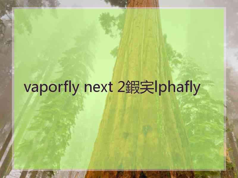 vaporfly next 2鍜宎lphafly