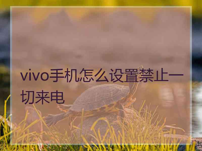 vivo手机怎么设置禁止一切来电