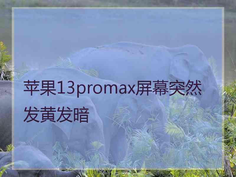 苹果13promax屏幕突然发黄发暗