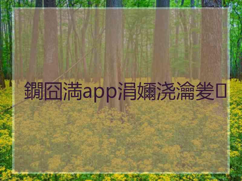 鐗囧満app涓嬭浇瀹夎