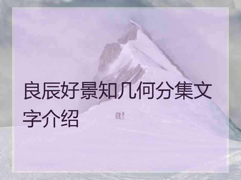 良辰好景知几何分集文字介绍