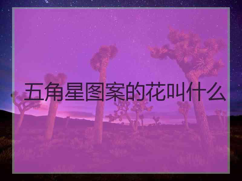 五角星图案的花叫什么