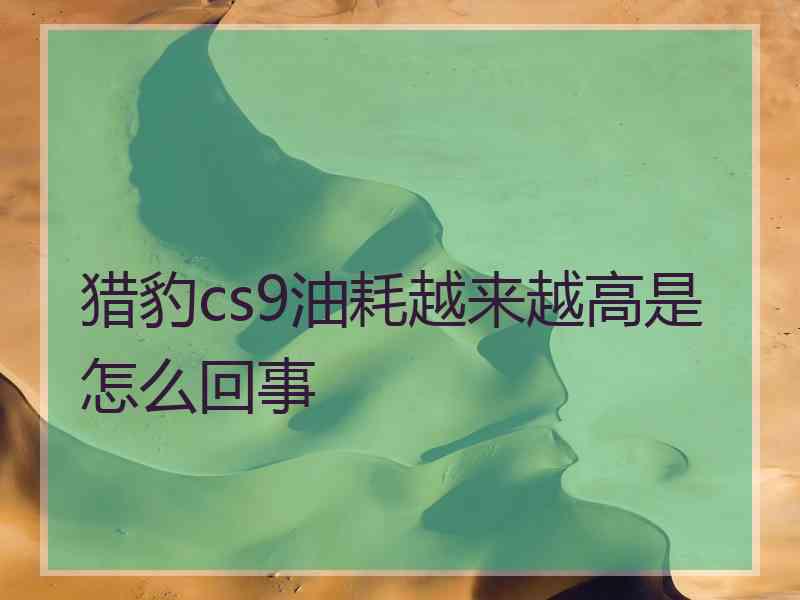 猎豹cs9油耗越来越高是怎么回事