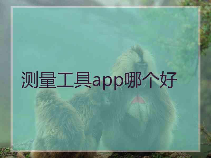 测量工具app哪个好