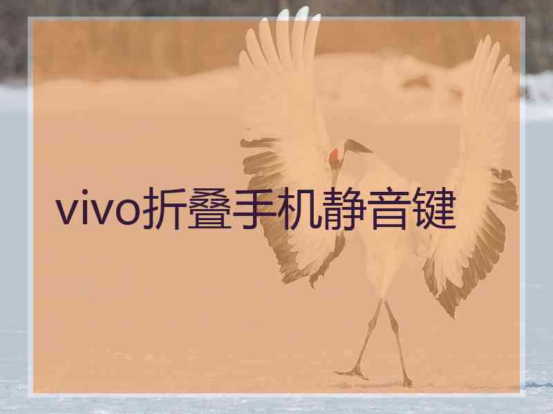 vivo折叠手机静音键