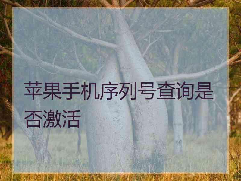 苹果手机序列号查询是否激活