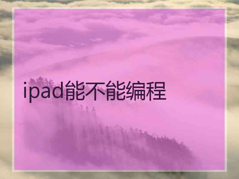 ipad能不能编程